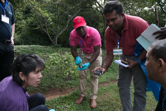 OSI regional introductory course in Sri Lanka