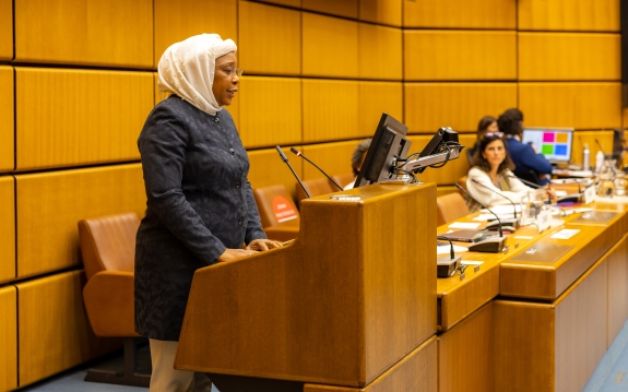 Zeinabou Mindaoudou Souley delivers closing remarks at O&M Workshop