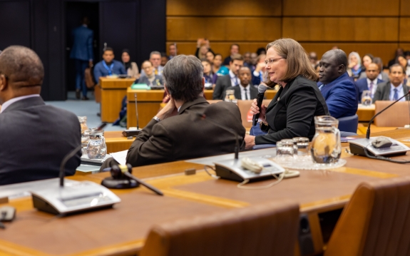 Laura Holgate, Ambassador of the United States to the CTBTO, speaking during panel discussion 