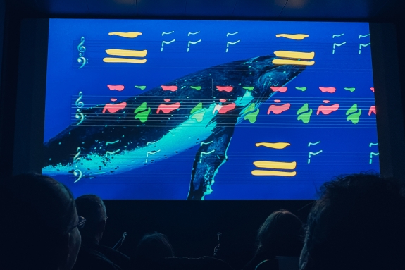Clip of documentary displaying whale call frequencies as musical notes