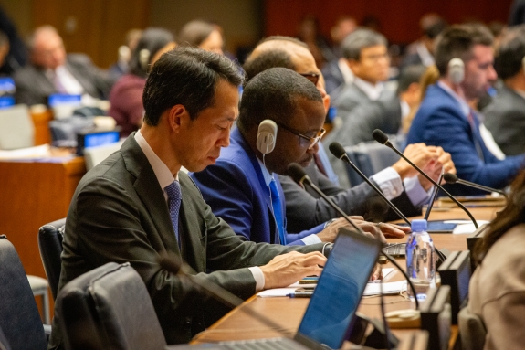 Delegates listening to delivery of statements at Article XIV Conference in New York