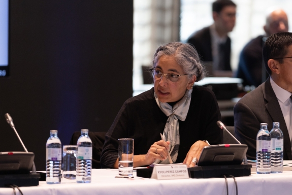 Xyoli Pérez Campos, Director of International Monitoring System (IMS) Division