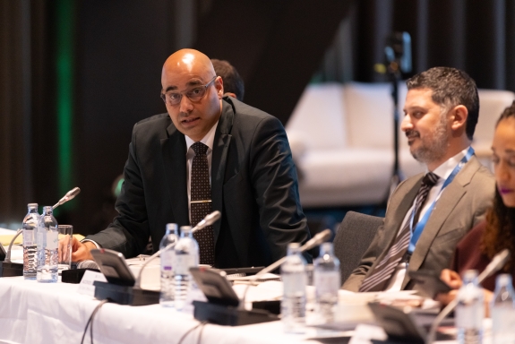 Elran Sason Ben Or, Chief, Policy Planning & Operations Section