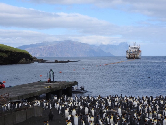 Ship used to transport equipment to lay underwater cable at hydroacoustic station (HA04) in Crozet Islands, France near colony of king penguins 