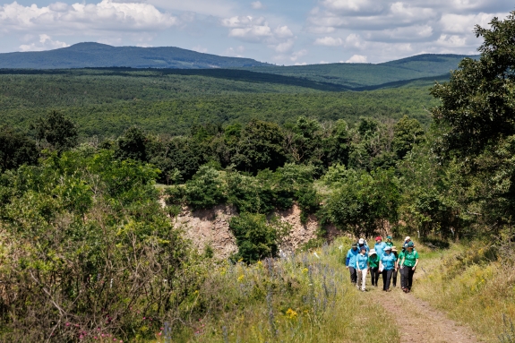 Inspection team members scouting one of the search zones