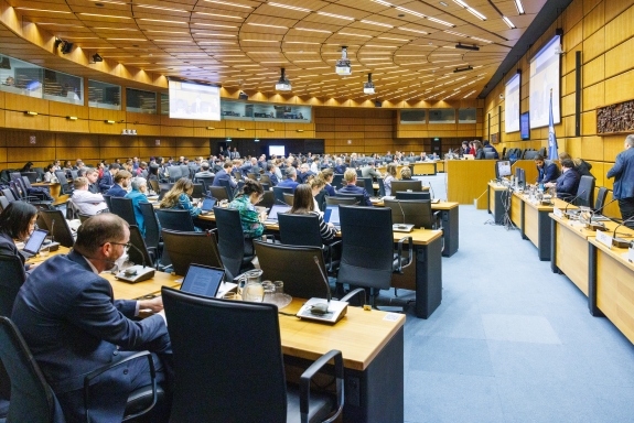 Member States' representatives during 63rd Session of Preparatory Commission