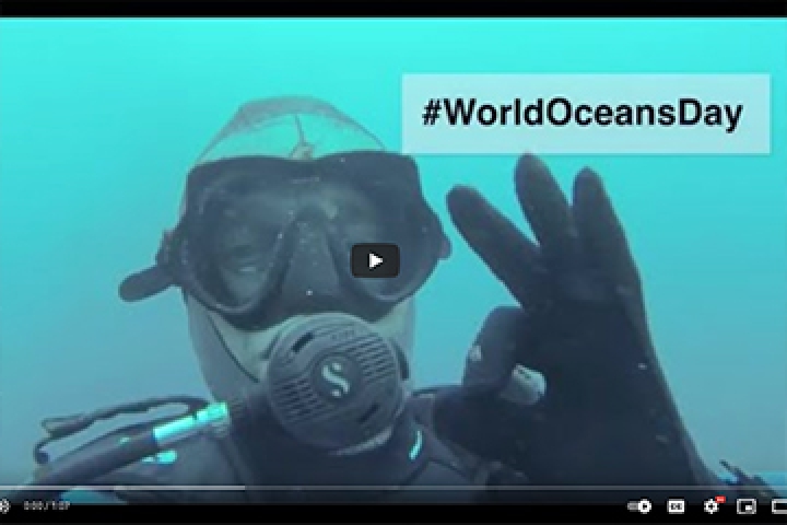 World Ocean Day - Protecting Oceans 365 days a Year