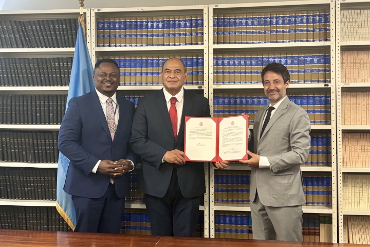 Tonga ratification 